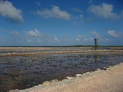 Salt Ponds